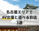 【2025年最新版】名古屋エリアでAV女優と遊べるお店3選
