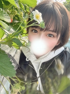 ひなか