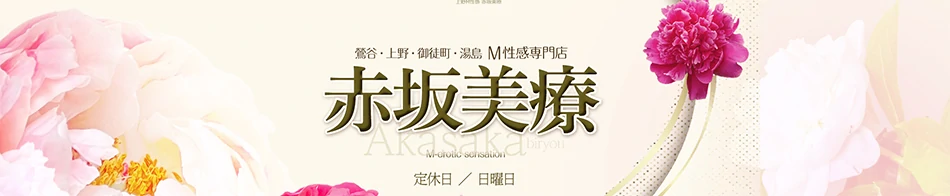 上野M性感 赤坂美療