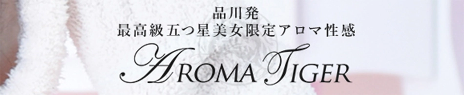 AROMA TIGER 品川店～アロマタイガー品川～