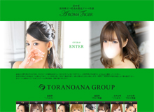 AROMA TIGER 品川店~アロマタイガー品川~