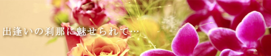 ミセスコレクション