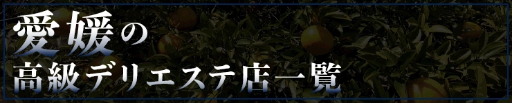 愛媛の高級デリエステ店一覧