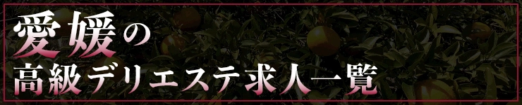 愛媛の高級デリエステ求人一覧