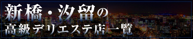 新橋・汐留の高級デリエステ店一覧