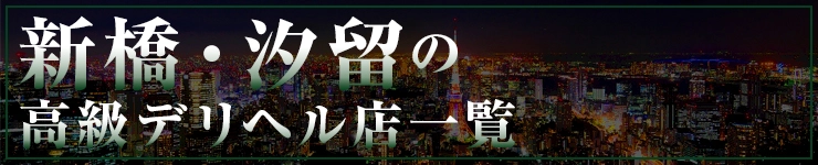 新橋・汐留の高級デリヘル店一覧